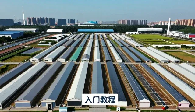 AI新闻速递常见问题及高效处理指南